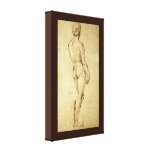 Sketch of Michelangelo's David Statue by Raphael Canvas Prints