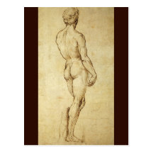 Sketch of Michelangelo's David Statue by Raphael Post Card