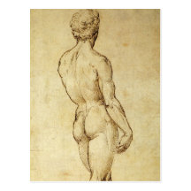 Sketch of Michelangelo's David Statue by Raphael Postcard