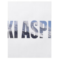 Ski Aspen Flyer