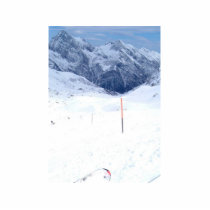Ski In The Alp Photo Sculpture