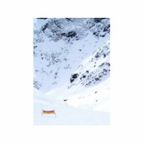Ski In The Alps Photo Sculptures