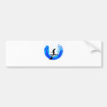 Ski Perfect Parks Bumper Stickers