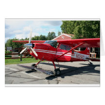 Ski plane, Talkeetna, Alaska, USA Cards