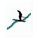 Ski the Visiting Post Cards