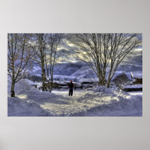 skier's vista poster