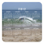 Skimmer Splash; 2012 Calendar Stickers