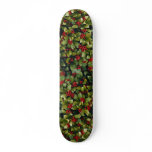 Skimmia japonica skate deck