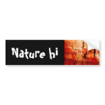 skimmin for manson bumper stickers