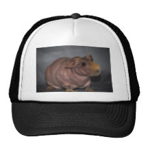 Skinny Pig Hat