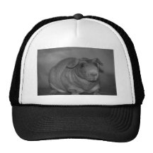 Skinny Pig in black and White Hat