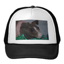 Skinny Pig with Easter Eggs Mesh Hats