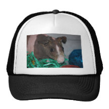 Skinny Pig with Easter Eggs Mesh Hats