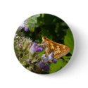 Skipper butterfly 5 ~ button