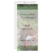 Skipper Butterfly On Agastache Personalized Rack Card