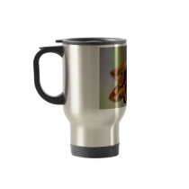 Skipper Butterfly on Aster Photo Mugs