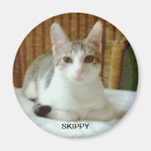 SKIPPY MAGNET