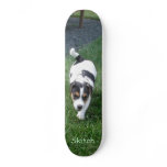 Skitch Board skateboards