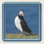 Skomer Island Puffin Stickers