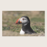 Skomer Island Puffin Stickers