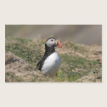 Skomer Island Puffin Stickers