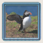 Skomer Island Puffin Stickers