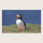 Skomer Island Puffin Stickers