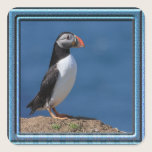 Skomer Island Puffin Stickers