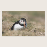 Skomer Island Puffin Stickers