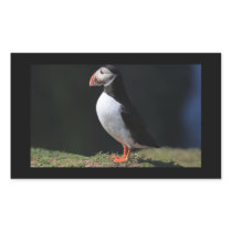 Skomer Island Puffin Stickers
