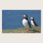 Skomer Island Puffin Stickers