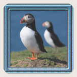 Skomer Island Puffin Stickers