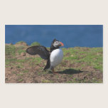 Skomer Island Puffin Stickers