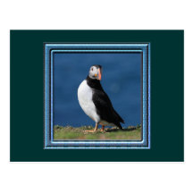 Skomer Island Puffins Post Card