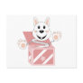 Skrunchkin Rabbit Cotton In Pink Box