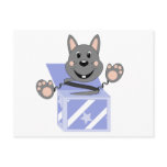 Skrunchkin Rabbit Kasper In Blue Box