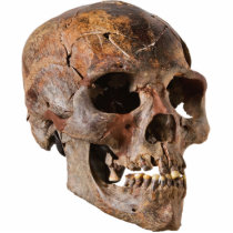 Skull 1 Pin Photo Cutout