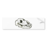 Skull 2 ~ Skulls Skeleton Mammal Animal bumper stickers