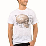 Skull Anatomy vintage style mens tshirt