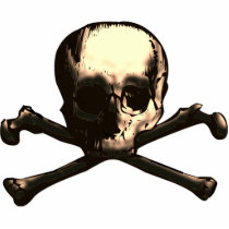 SKULL AND CROSS BONES PHOTO CUTOUTS