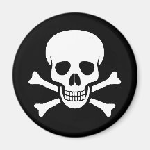 Skull and Crossbones Magnet
