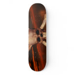 Skull and Crossbones w/Red Sky Background Skateboard Decks