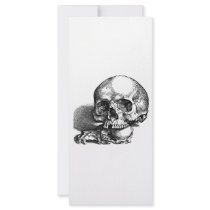 Skull and Jawbones Vintage sketch