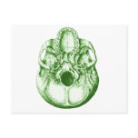 Skull Below Green