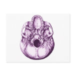 Skull Below Purple
