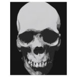 Skull Black & White Pop Art flyers