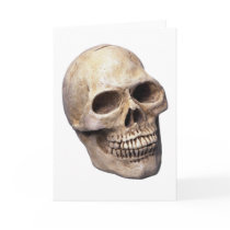 Skull bone card