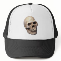 Skull bone