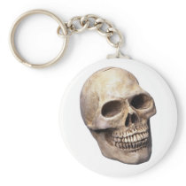 Skull bone