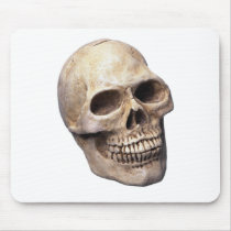 Skull bone